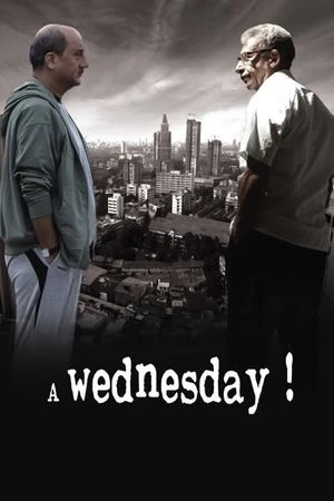 A Wednesday 2008 Hindi Dual Audio