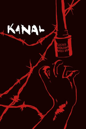 Kanal 2015 Hindi Dual Audio 450MB