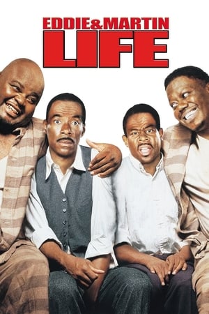 Life (1999) Movie Hindi Dual Audio [2GB]