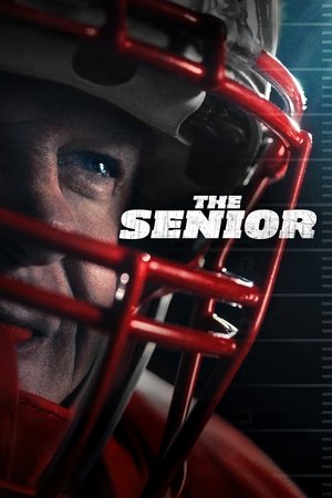 The Senior (2025) Hindi (MULTI AUDIO) – –